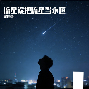 误把流星当永恒