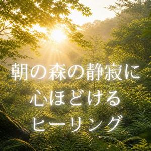 静かな朝の森に癒される余韻