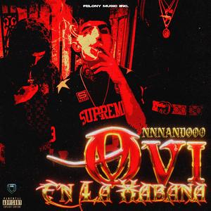 OVI EN LA HABANA (feat. NNNANDOOO)