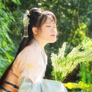 是风动（Cover 银临 / 河图）