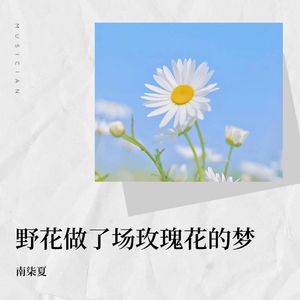 野花做了场玫瑰花的梦（DJ版)