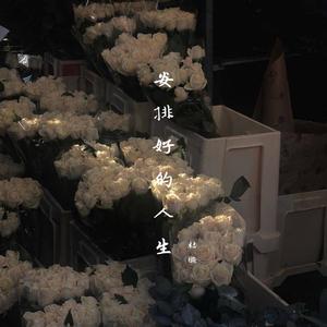 安排好的人生（女版）