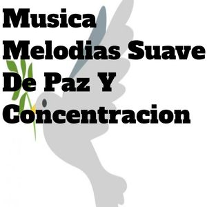 Musica para la Amsiedad