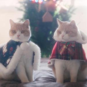 Rumor（翻自 국.슈）