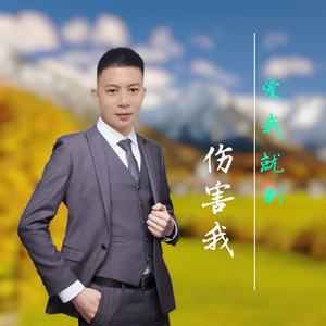 爱我就别伤害我 (DJ版)