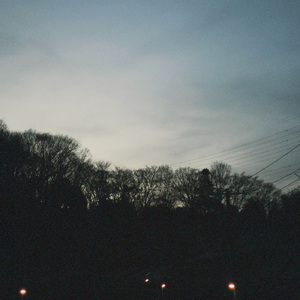 Whale (Improvised 2026)