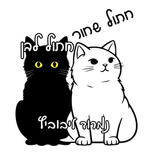 חתול שחור חתול לבן