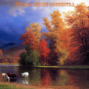 String Concerto in C Minor, No. 8, RV 127: II. Largo