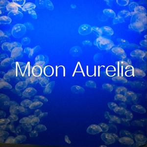 Moon Aurelia 海月水母