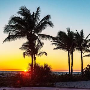 Sunset Stroll