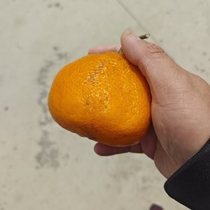 奇幻童话八音盒