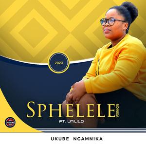 Sphelele Ndinisa _ Ukube Ngamnika (feat. Mlilo)