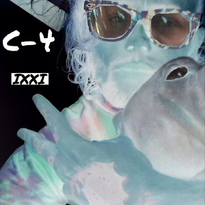 T.I.T.S (This Is the ****)