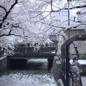 自悟