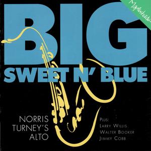 I've Never Been In Love Before