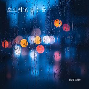 흐르지 않는 눈물 (Special Version)