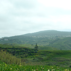 忧郁病（Prod by DaveBeats）