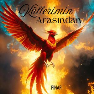 Küllerimin Arasından