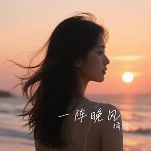一阵晚风