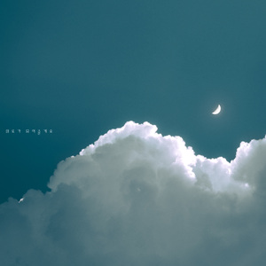 11월의 어느 가을밤