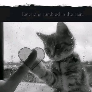 cloud_20251101_2217440.wav