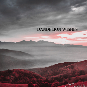Dandelion wishes