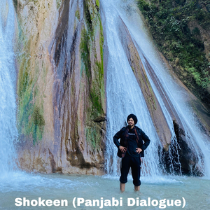 Shokeen (Panjabi Dialogue)