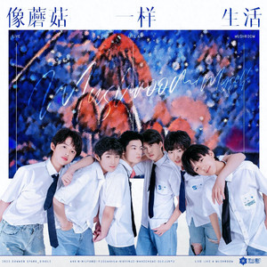 像蘑菇一样生活 (伴奏)