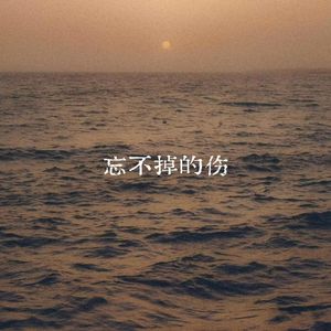 忘不掉的伤