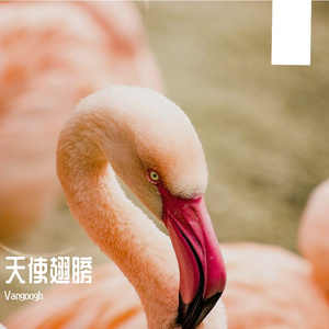 抒情纯音乐(vangoogh)