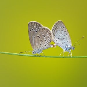 有趣水疗酒店情怀