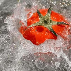 나의 바다에게 (TO MY OCEAN)