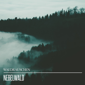 Magische Waldstimmen