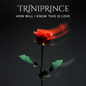 How Will I Know This Is Love