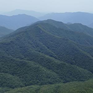 산 들 바다 강산에 야행이라 또다시 하나