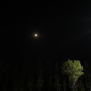 异梦 (Bonus Track - Eason Chan)