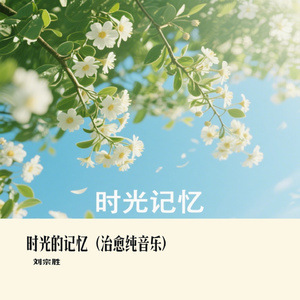 时光的记忆（治愈纯音乐）