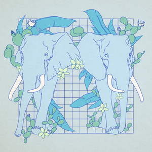 Plastic n Ivory (feat. Credit Card)