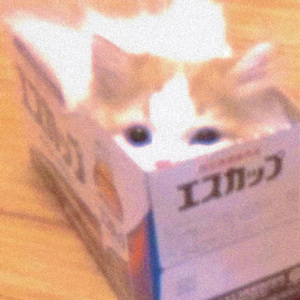 Forget The Past(Prod.sterm&monroe)