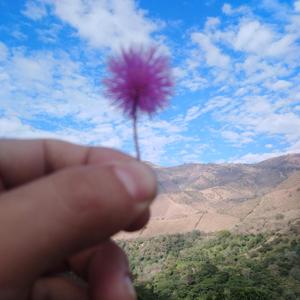 Eres tú mi amor verdadero