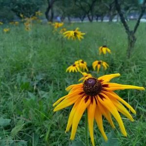 人生路_☀阿瓦000