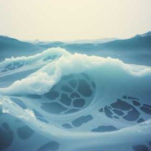 海（The sea）