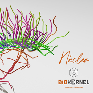 Núcleo