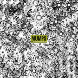 Mumps