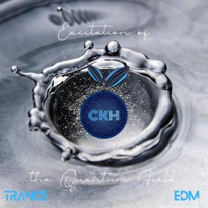 Excitation of the Quantum FIeld