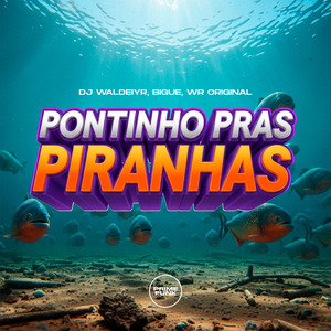 Pontinho Pras Piranhas