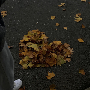 冬眠 Ⅰ 2024 YING.HUA REMIX