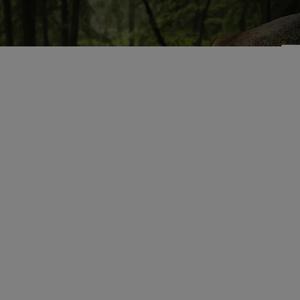 Labakan, aneb nepravý princ Audio pohádka