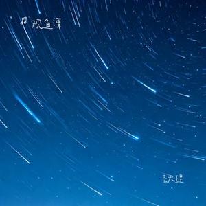 去大理 (Cover 郝云)