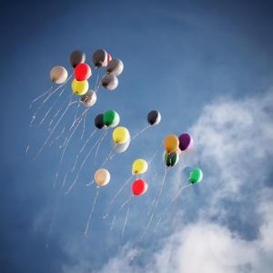 멍든 기억마저 자유롭게 날아가